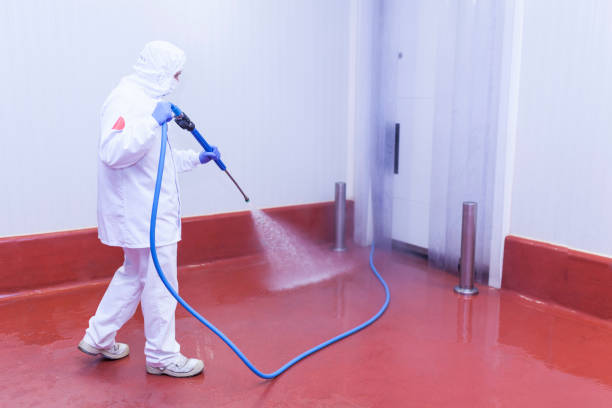 Best Dumpster Area Cleaning  in De Leon Springs, FL