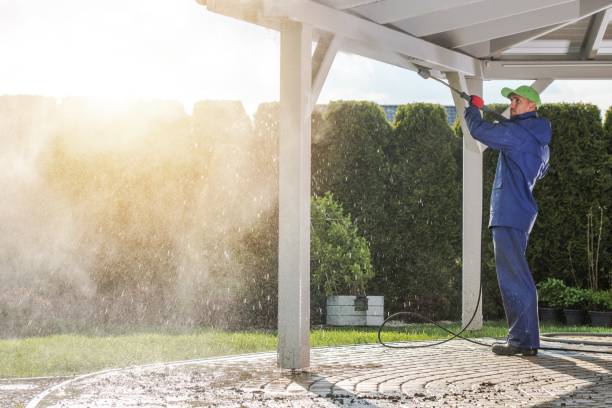 Best Soft Washing  in De Leon Springs, FL